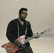 Artist Bo Diddley